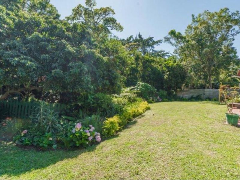 A spacious, well-maintained rear garden featuring a lush lawn, mature trees, and established garden beds with a boundary wall.