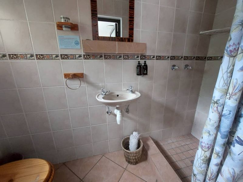 **Charming Guesthouse for Sale in Suiderhof, Windhoek** - Photo 10
