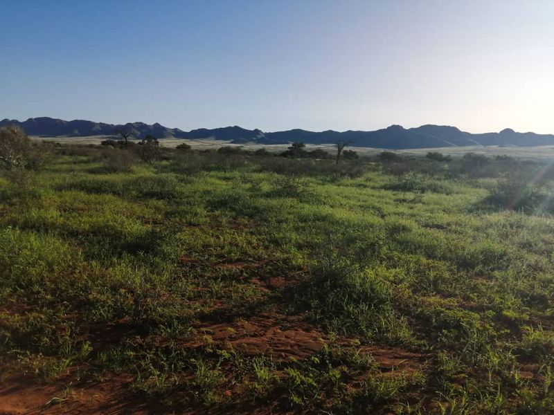 BEAUTIFUL LIVESTOCK / TOURISM / HUNTING FARM FOR SALE NEAR BETTA - NAMIBIA - Photo 3