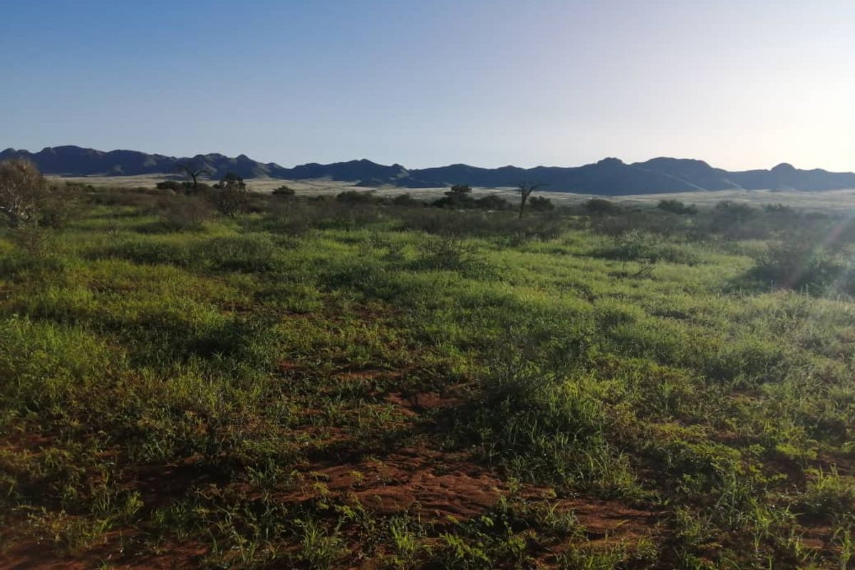 BEAUTIFUL LIVESTOCK / TOURISM / HUNTING FARM FOR SALE NEAR BETTA - NAMIBIA - Photo 3