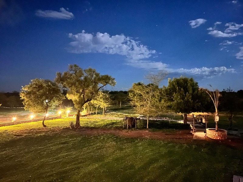 CALLIE’S GAME LODGE | EXCEPTIONAL HOSPITALITY & WILDLIFE INVESTMENT NEAR TSUMEB - Photo 10