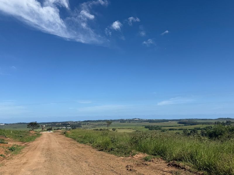 A scenic view of the vacant residential land featuring an unpaved access road and expansive natural landscape under a clear blue sky.