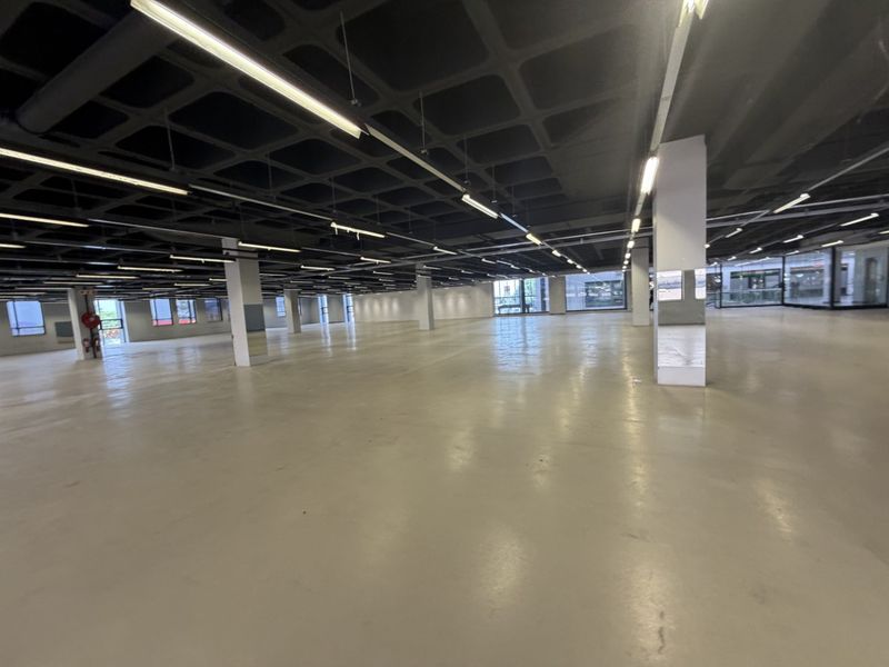 Expansive open-plan industrial space featuring polished concrete floors, exposed waffle slab ceilings, and abundant natural light from large windows.