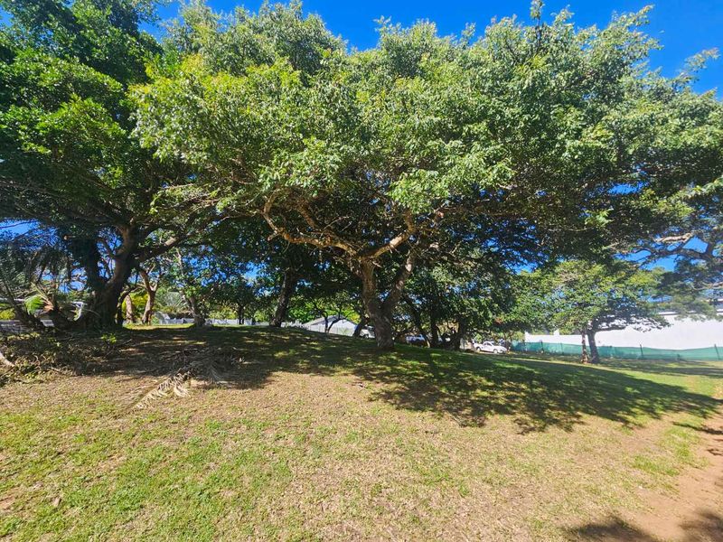 Build Your Tropical Masterpiece in St Lucia 🌿 - Photo 2