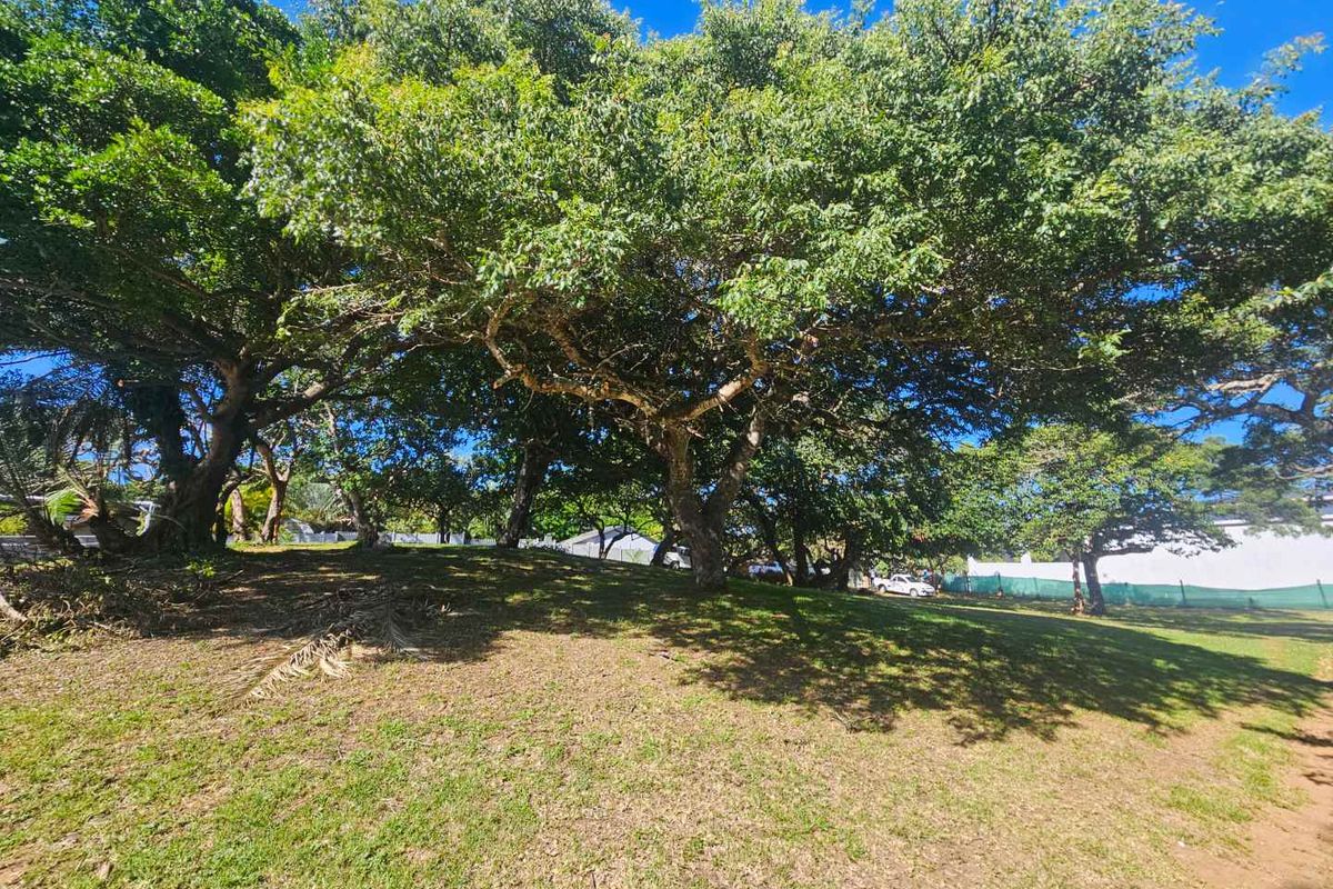 Build Your Tropical Masterpiece in St Lucia 🌿 - Photo 2