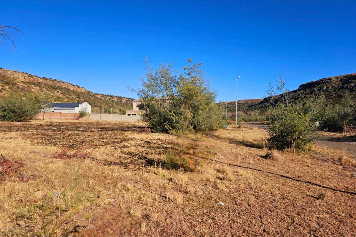**Prime Vacant Land in New Development Area – Ladybrand** - Photo 4