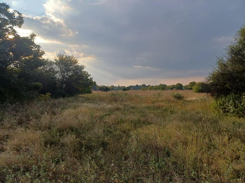 SMALL HOLDING. LANGENHOVENPARK.BEAUTIFUL TREES. EXCELLENT BUY. - Photo 2