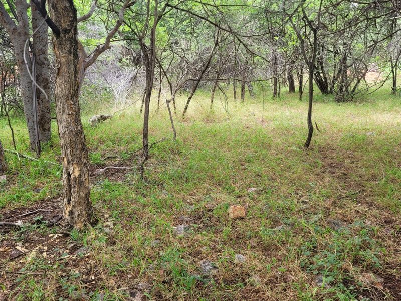 STAND IN TRANQUIL  AREA - Photo 9