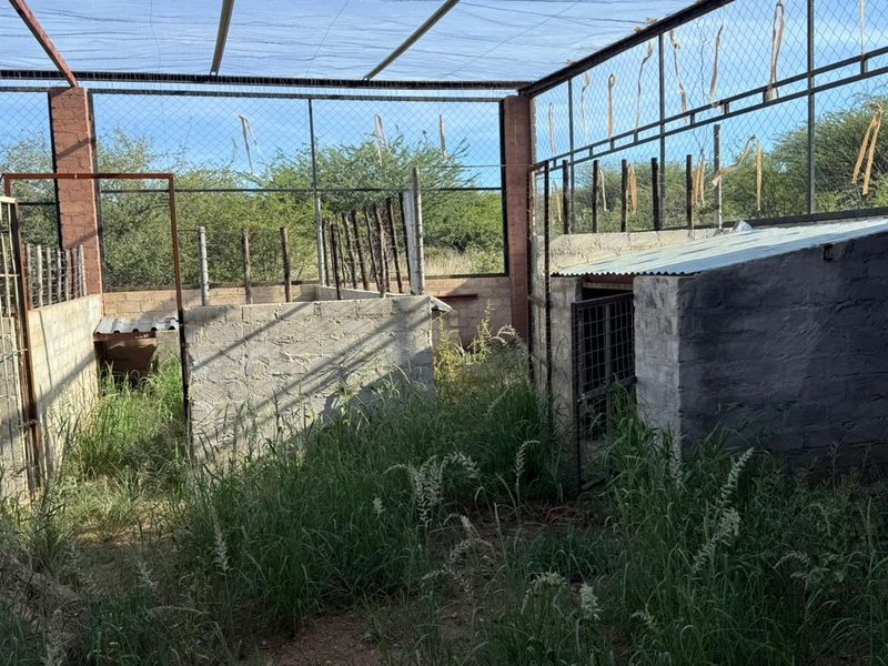 Potentia-ful Property Awaits For Investors - Photo 6