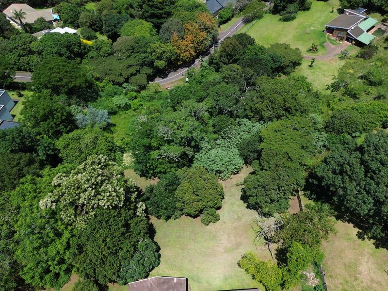 Vacant Land with Massive Potential in Crestholme! - Photo 4