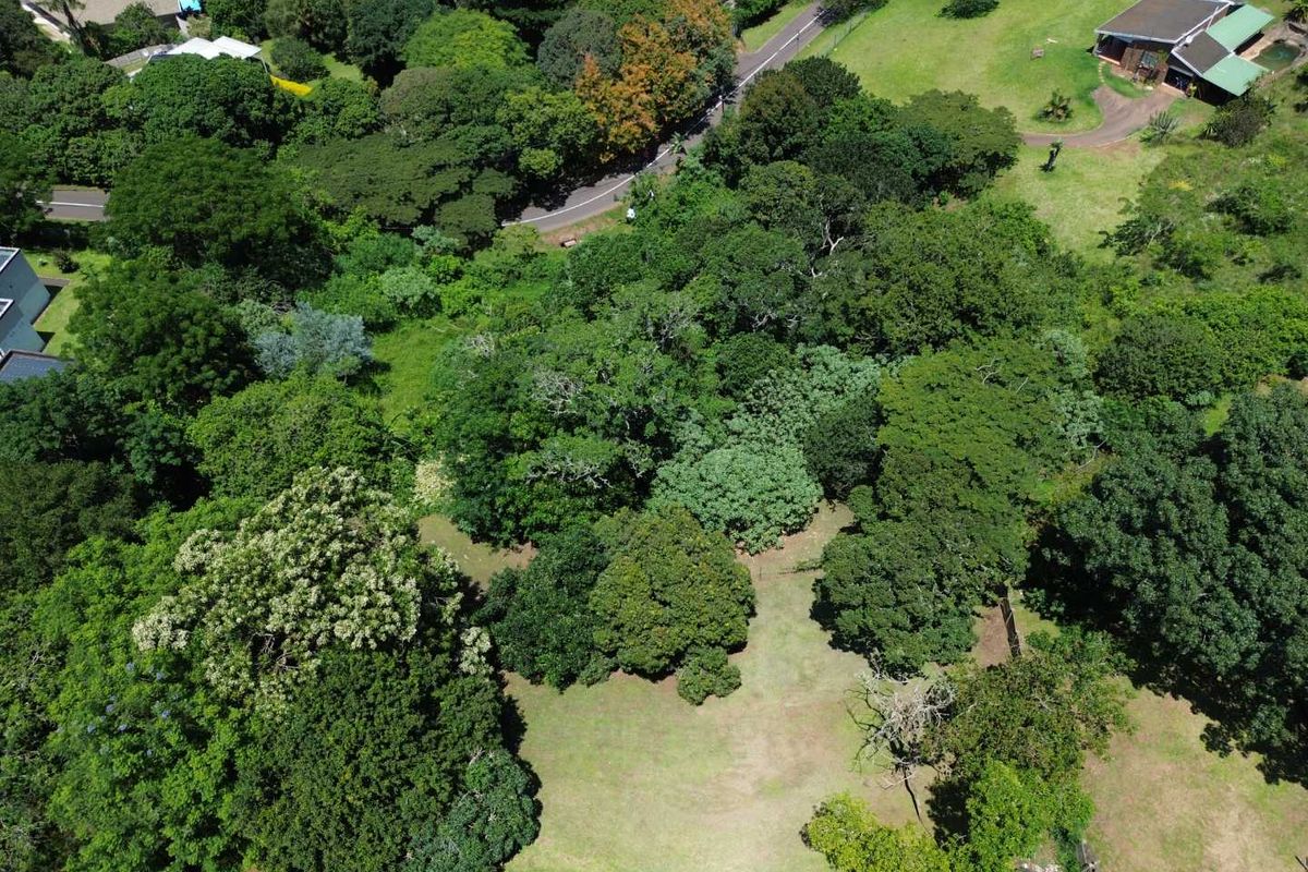 Vacant Land with Massive Potential in Crestholme! - Photo 4