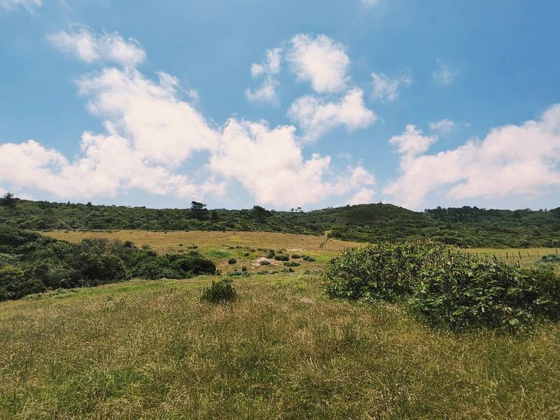 Development land for sale - Photo 10