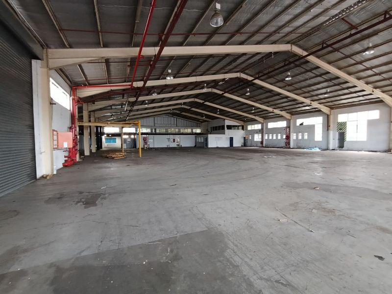 TO LET | STANDALONE WAREHOUSE | LEVELLERS – WESTMEAD - Photo 4