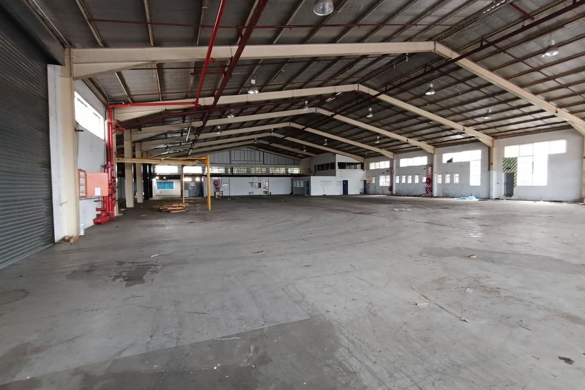 TO LET | STANDALONE WAREHOUSE | LEVELLERS – WESTMEAD - Photo 4
