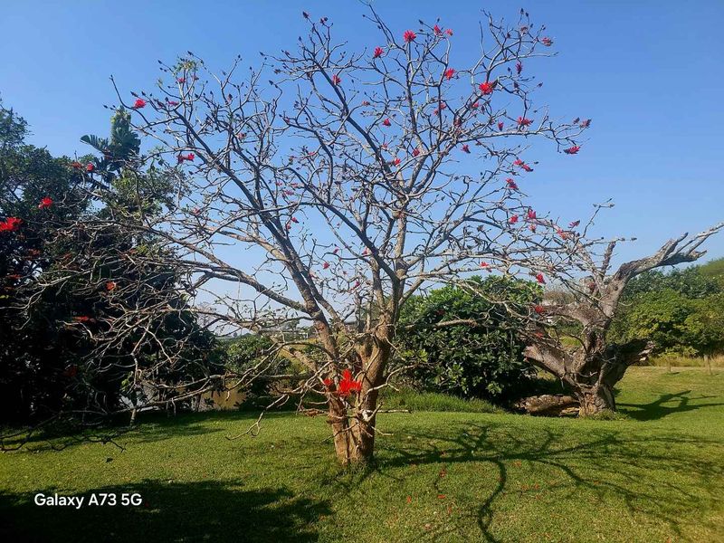 Vacant Land for Sale in Palm Lakes Estate - Photo 9