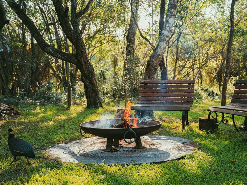 Bush Lodge with Income Potential – Kuleni Game Park, Hluhluwe - Photo 6