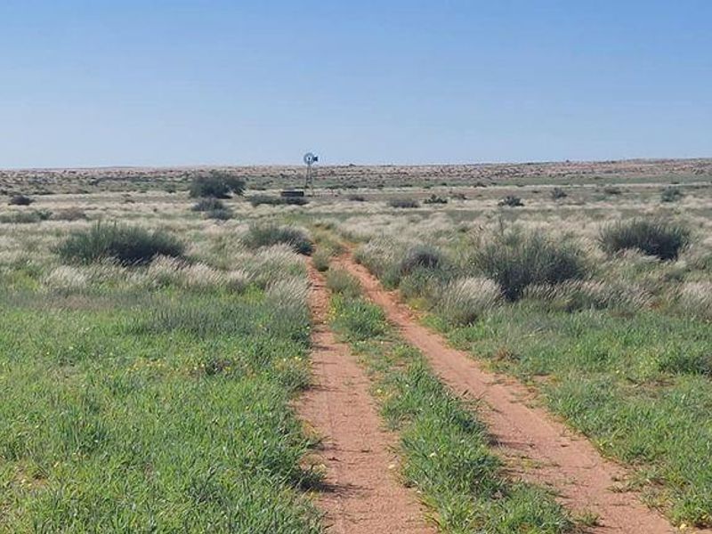 GAME FARM FOR SALE IN NOORDOEWER DISTRICT: - Photo 8