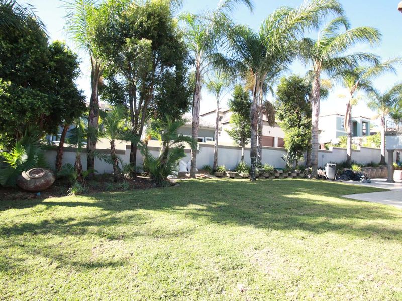 A well-maintained private garden featuring a lush lawn, mature palm trees, and a perimeter boundary wall with an adjacent paved patio area.