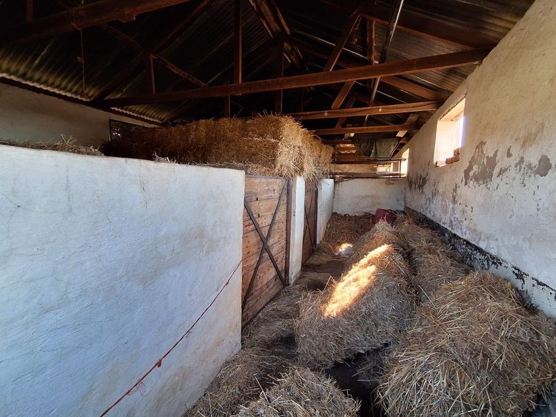 Centrally Located Farm with Direct Tar Road Access - Photo 3