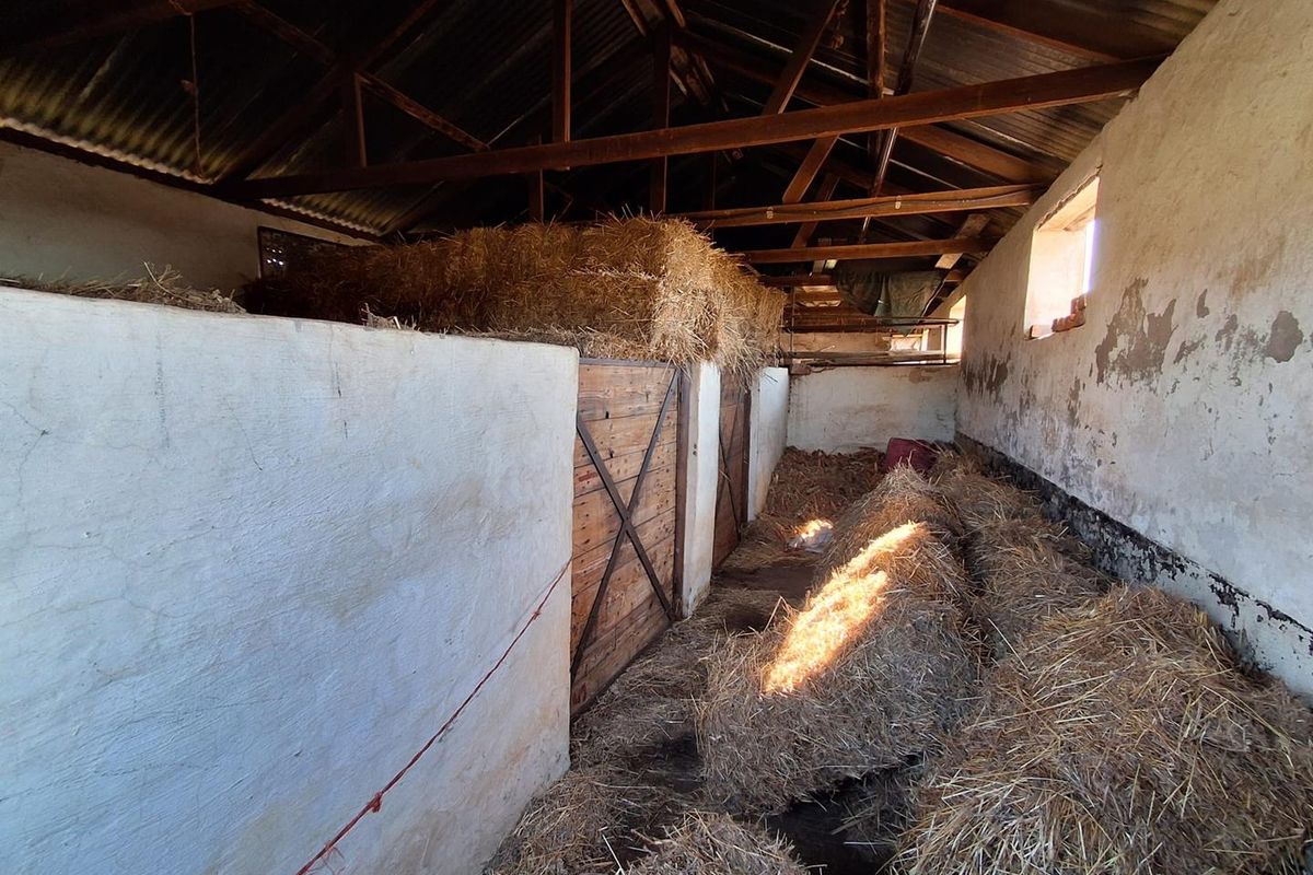 Centrally Located Farm with Direct Tar Road Access - Photo 3