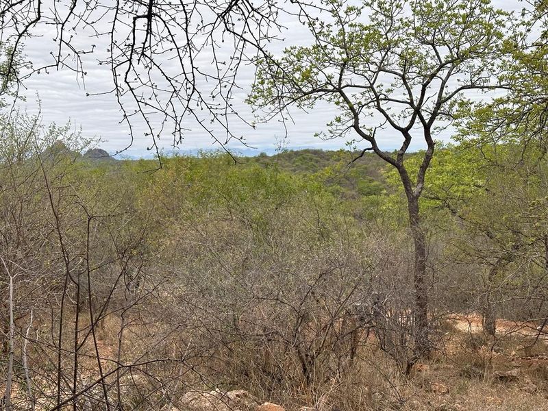 Discover Eco-Living at Elephant Rock Eco Estate – Vacant Land Now Available - Photo 8