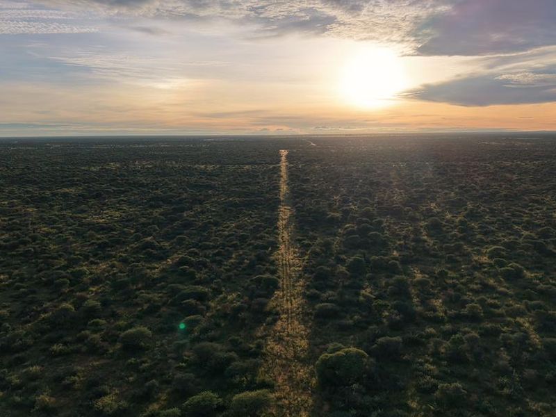 Hochfeld Dream Farms: Last Phase Almost Sold Out - Photo 6