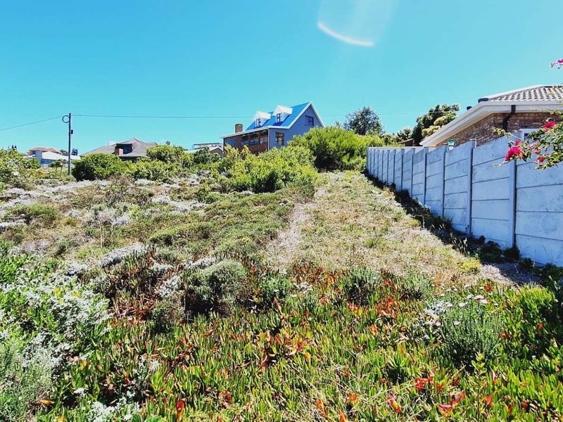 A vacant residential plot featuring natural vegetation and a precast concrete boundary wall, offering a clear view of the surrounding neighborhood.