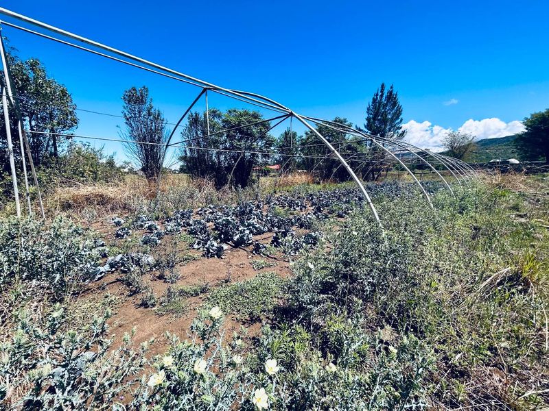 Vacant site for sale in Good area of Utrecht - Photo 8