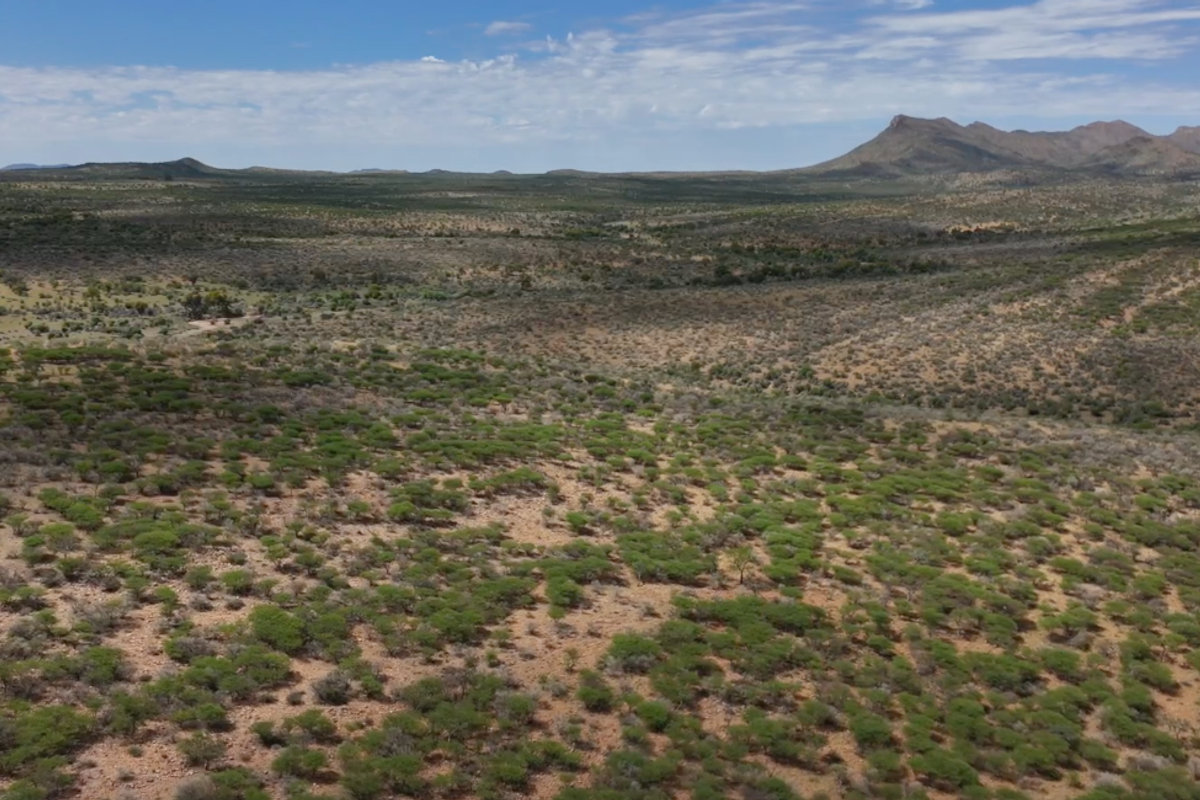 This 560-hectare plot of land is situated in a prime location between the old airport road and the new airport road. - Photo 2