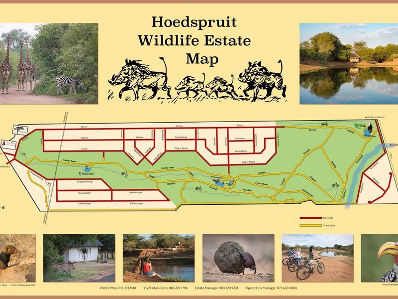 Vacant plot for sale in the most sought-after Hoedspruit Wildlife Estate - Photo 3