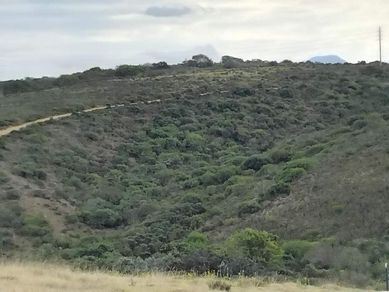 Quteniquasbosch : 1502m2 Vacant land - Photo 7