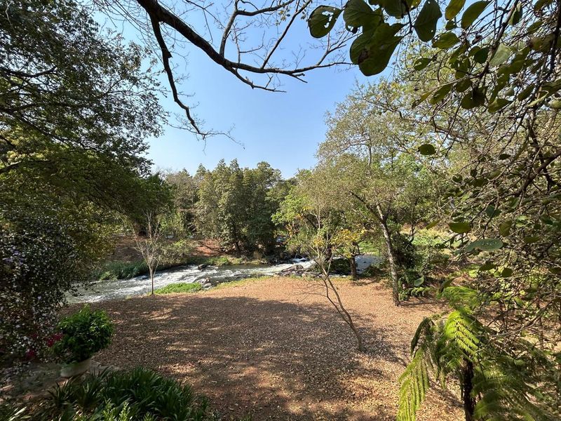 Prime Letaba Riverfront Oasis: Productive Orchards & 2 Homesteads - Photo 4