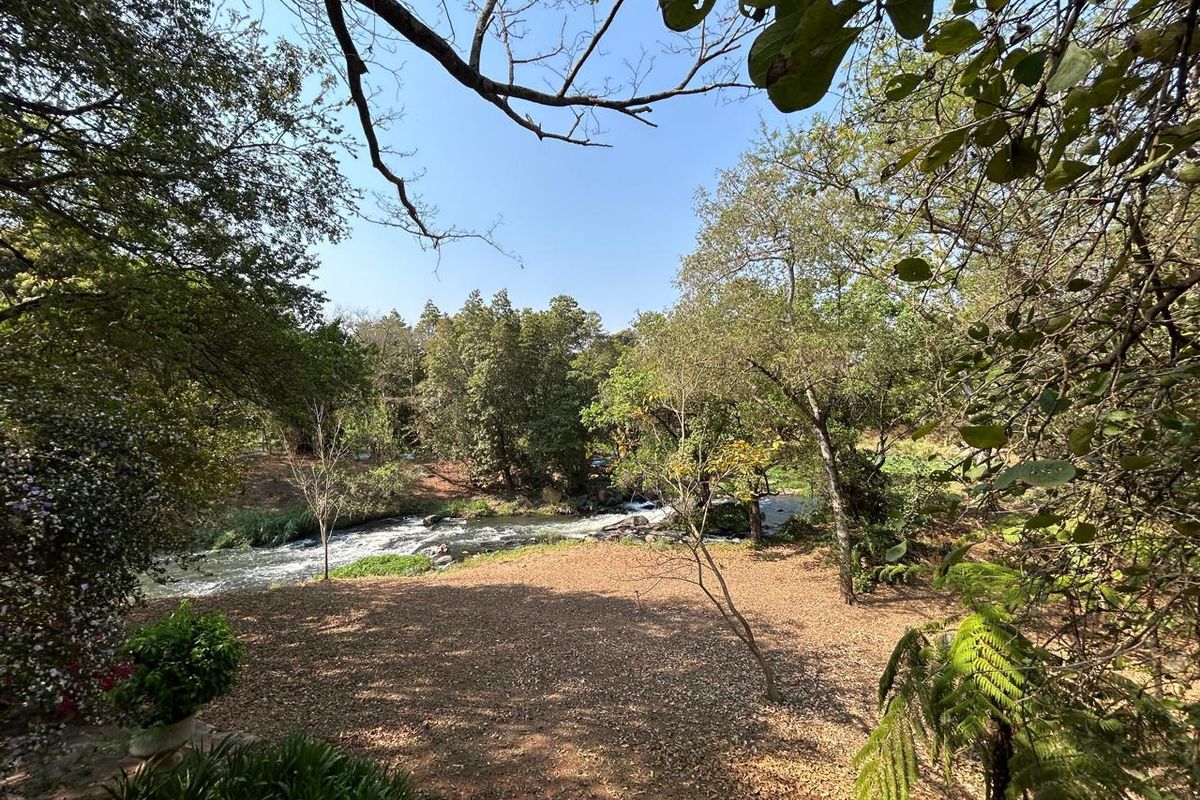 Prime Letaba Riverfront Oasis: Productive Orchards & 2 Homesteads - Photo 4