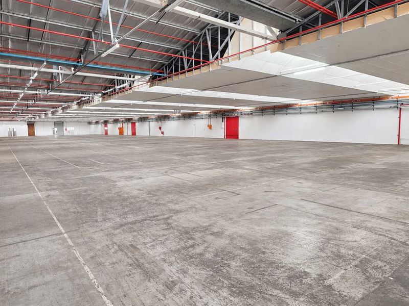 A spacious, open-plan industrial warehouse featuring high ceilings with exposed steel trusses, concrete flooring, and integrated fire sprinkler systems.