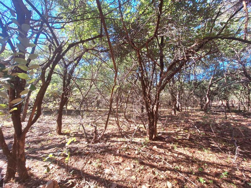 Secure Your Slice of Leeupoort's Natural Beauty Today - Photo 7