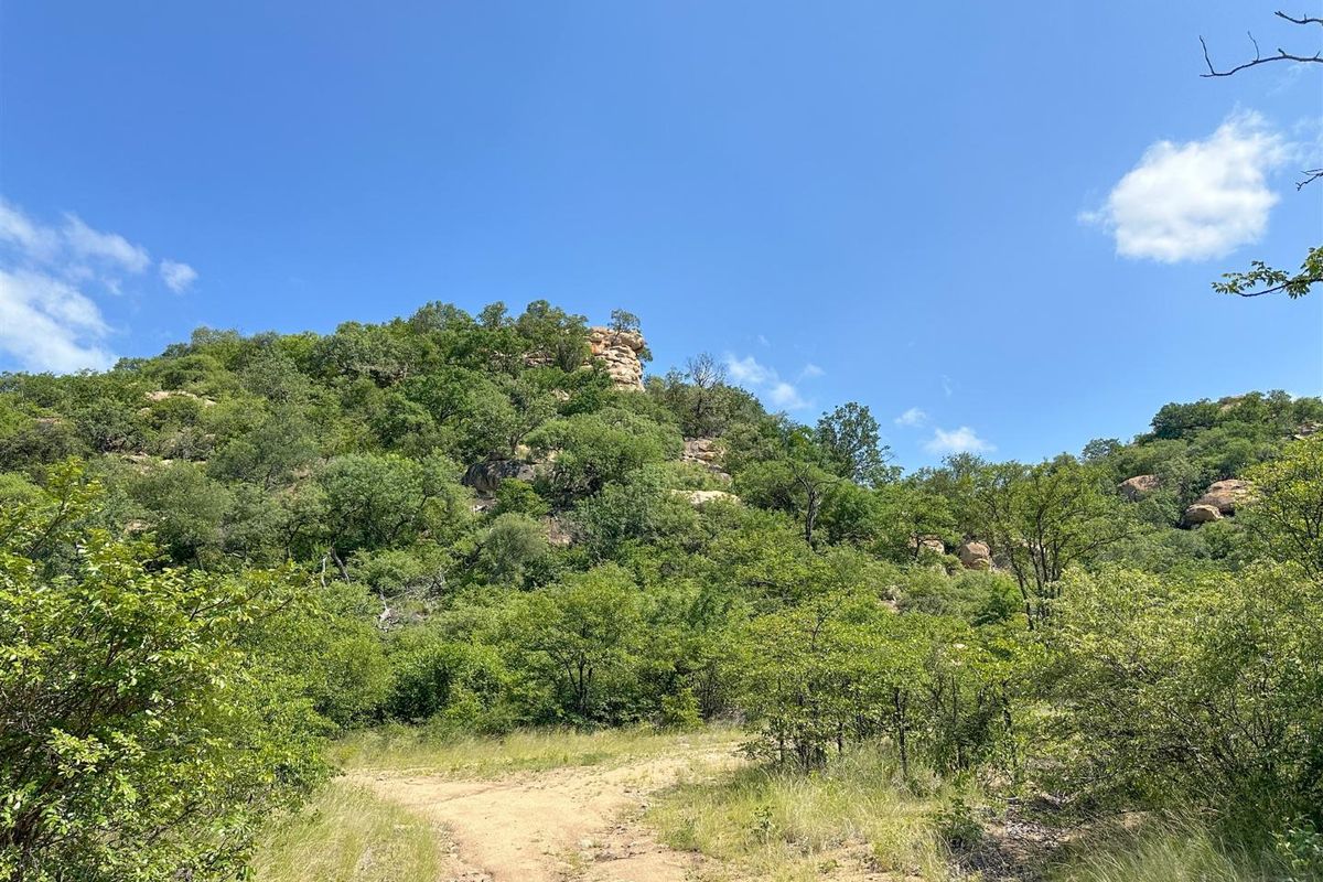 Big 5 game farm with extensive traversing - Photo 5