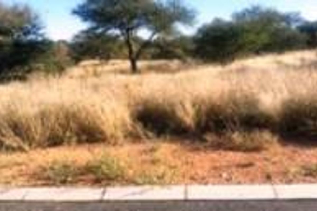 A vacant commercial land plot featuring natural vegetation and established trees, bordered by a concrete kerb along the street frontage.