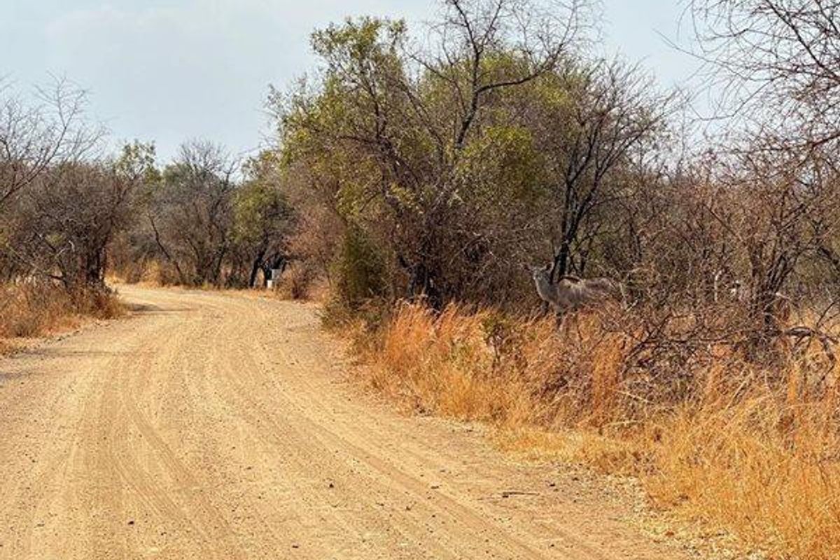**A Rare Opportunity to Own a Piece of Paradise in Buffelsdrift Game Reserve** - Photo 5