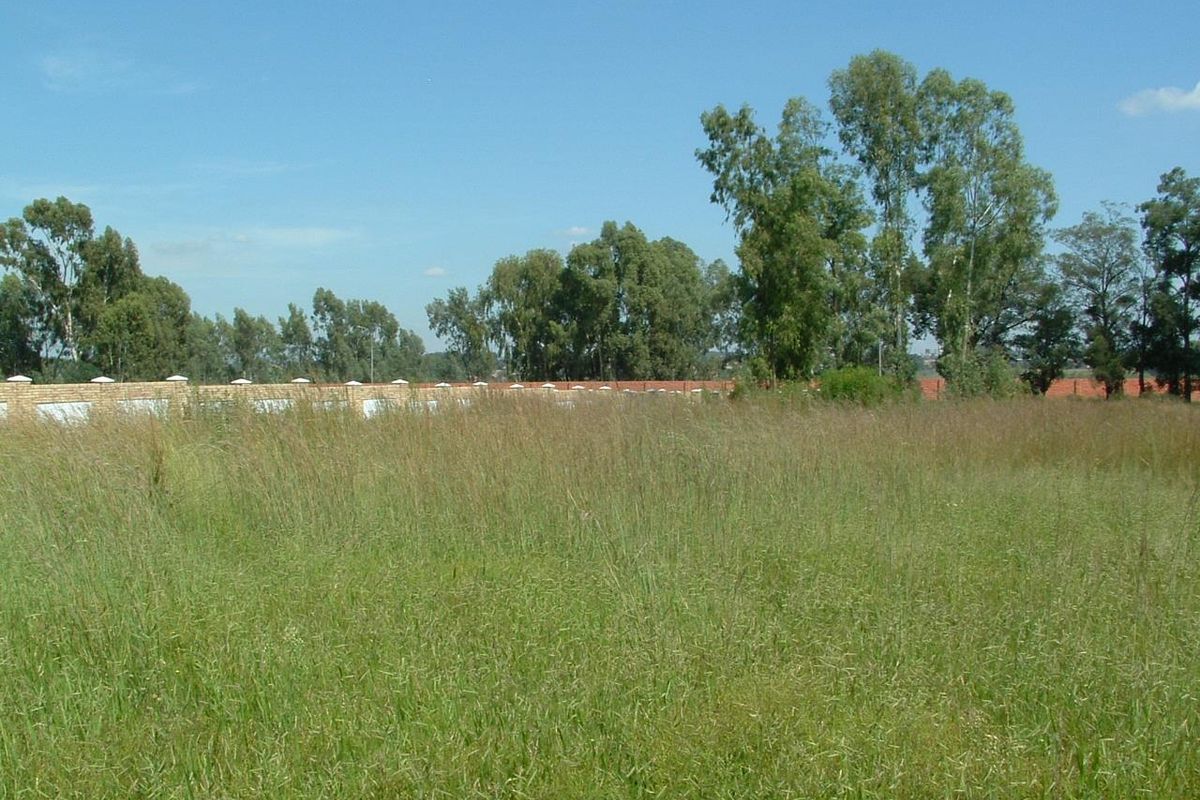 Calling all Developers - Photo 2