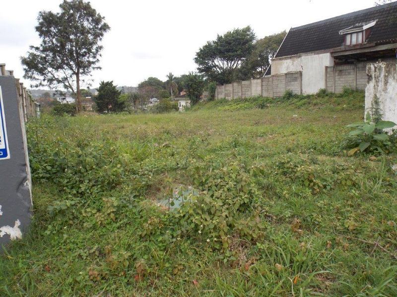 A vacant residential plot featuring overgrown grass and established boundary walls, offering a blank canvas for future development.