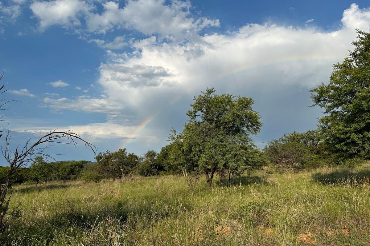 BUSVELD 4.2 HA VACANT LAND FOR SALE R1 272 000.00 - Photo 5