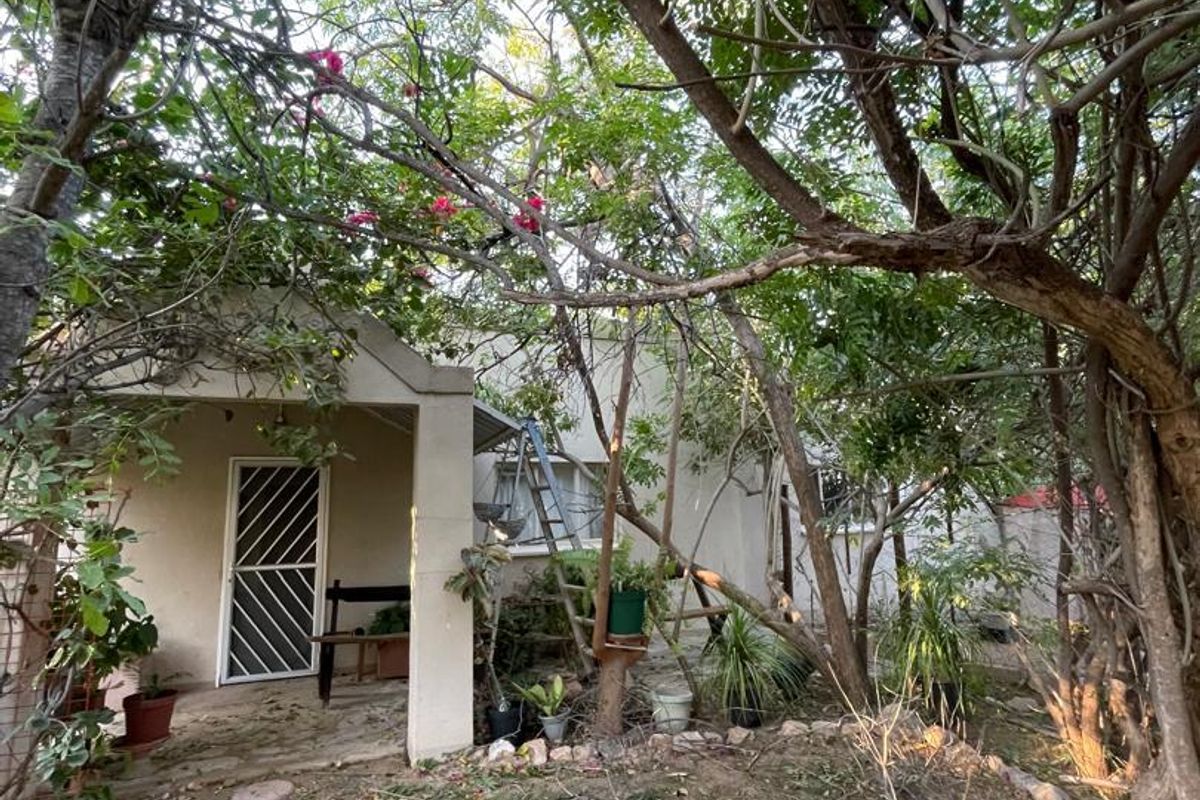 A view of the rear exterior of the property featuring a covered patio area surrounded by mature trees and established garden landscaping.