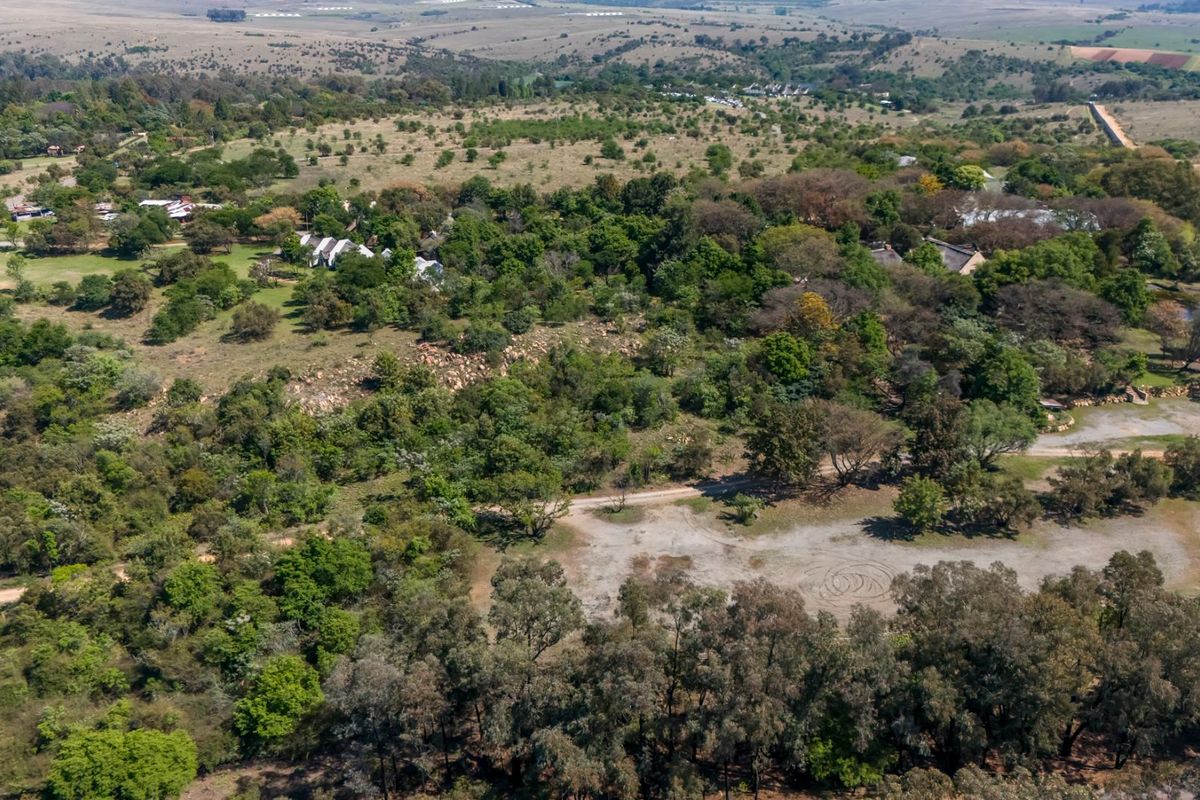 An aerial view of a large agricultural land parcel featuring established trees, natural vegetation, and an existing dirt access track.