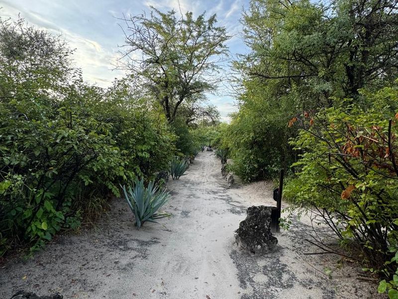 A natural sandy pathway winding through a lush garden area featuring native trees, shrubs, and rock formations on the farm property.