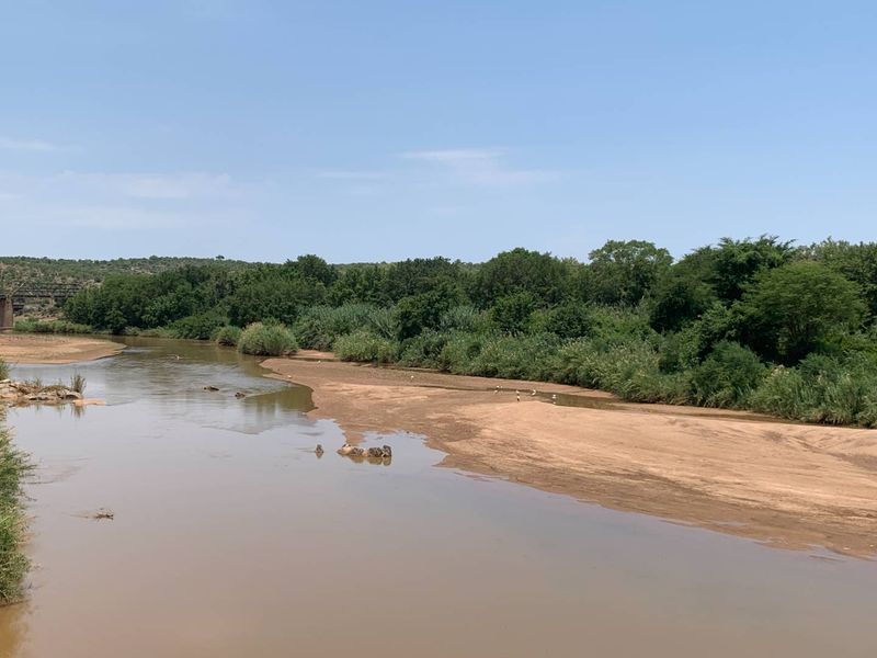 Discover Eco-Living at Elephant Rock Eco Estate – Vacant Land Now Available - Photo 7