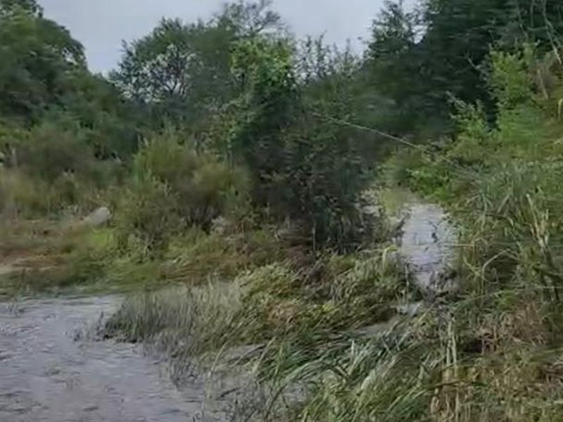 OFFERS WELCOME! Cattle Farm & Nature Retreat Rolled into One Rare Opportunity! - Photo 5