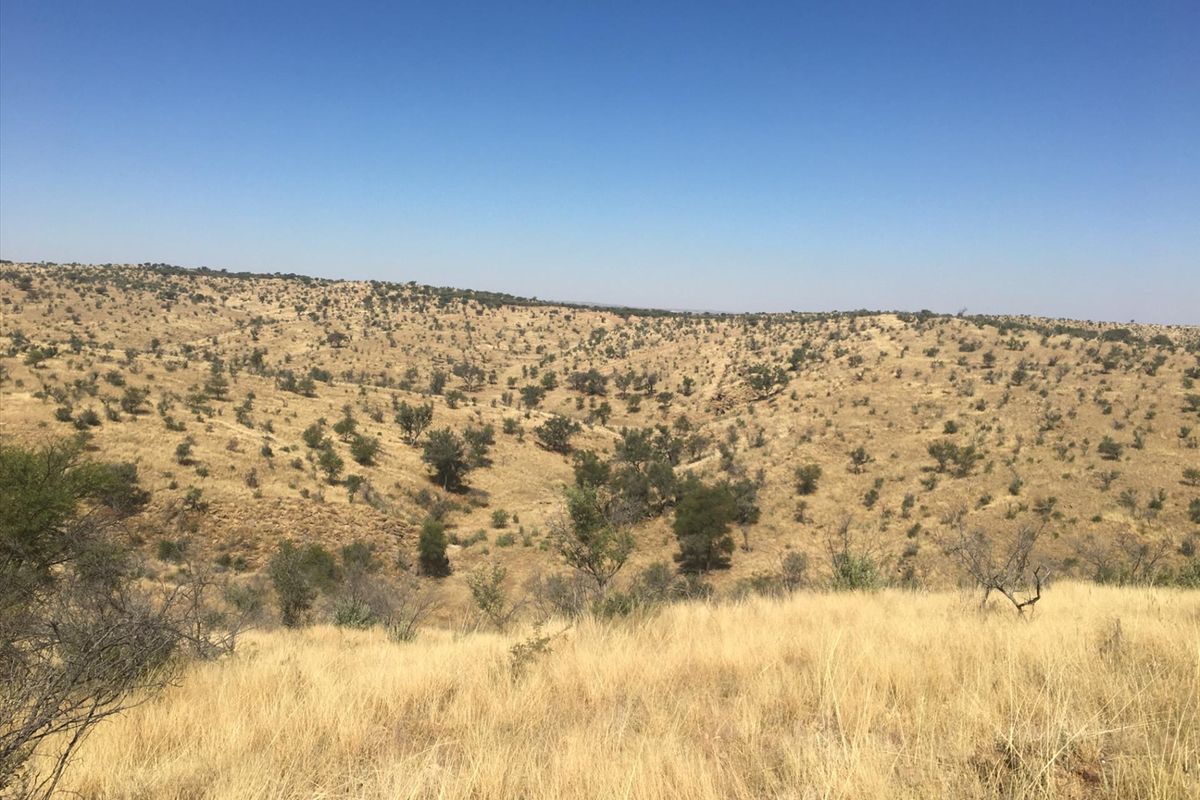 LIVE OFF THE GRID !!! 26.7km OUTSIDE WINDHOEK ! - Photo 2