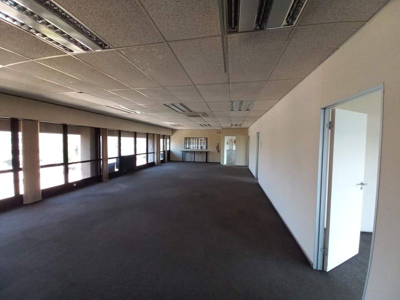 Spacious open-plan office area featuring large windows, suspended ceiling with integrated lighting, and neutral carpeting throughout.
