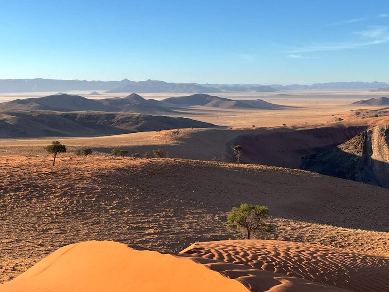 Untouched Desert Beauty - Photo 8