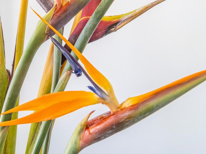 Comfort, Space and Style - Photo 7